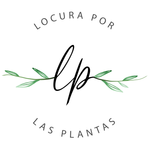 Locura por las Plantas - Plantas, Maceteros y Decoración